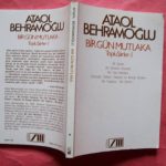 ataol_behramoglu