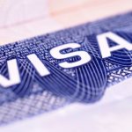 American Visa (XL)