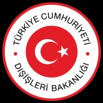 turk_disisleri