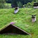 yesillendirilmis_cati_hava_kirliligi_pekin