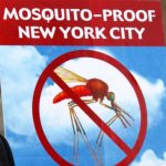 newyork_sivrisinek_virus_alarmi