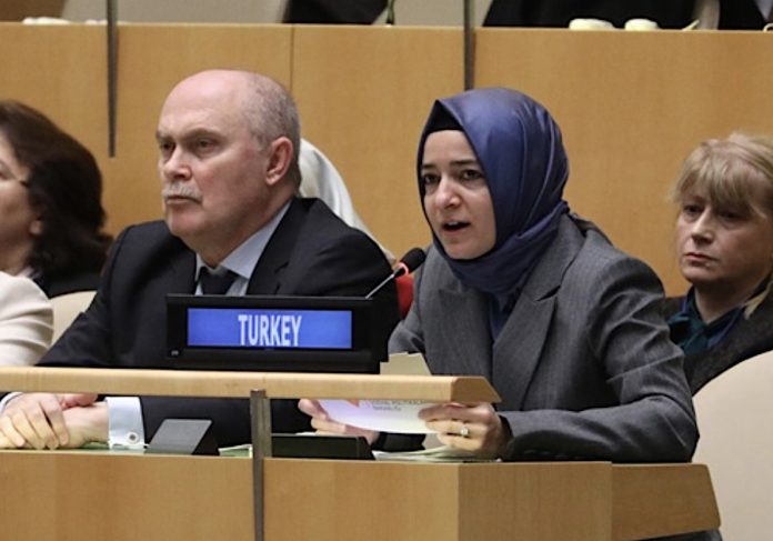 suriye_rohingya_fatmabetul_kaya_bm