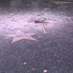 trump_star_vandalism