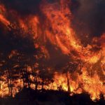 forrest_fire_21