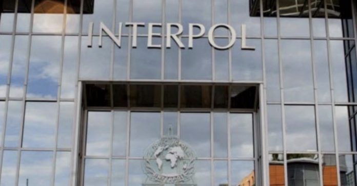 interpol_secim_21