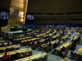 2026 U.N. General Assembly: “A United Nations That Delivers For All”