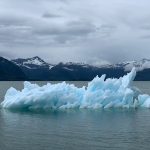 melissa-bradley-96iwiAxOuJw-unsplash