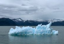 BM: Sıcaklığa bağlı ölüm oranı, 1990’lardan bu yana yüzde 63 arttı